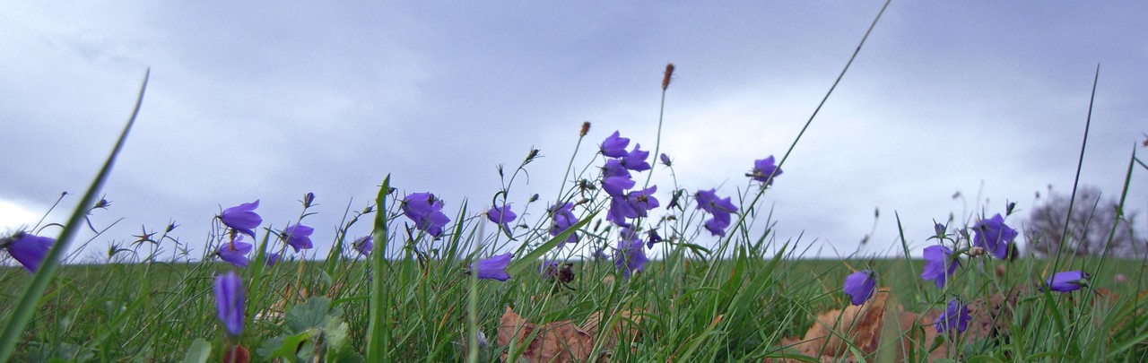 expositions-photographiques