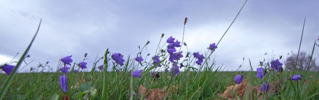 expositions-photographiques