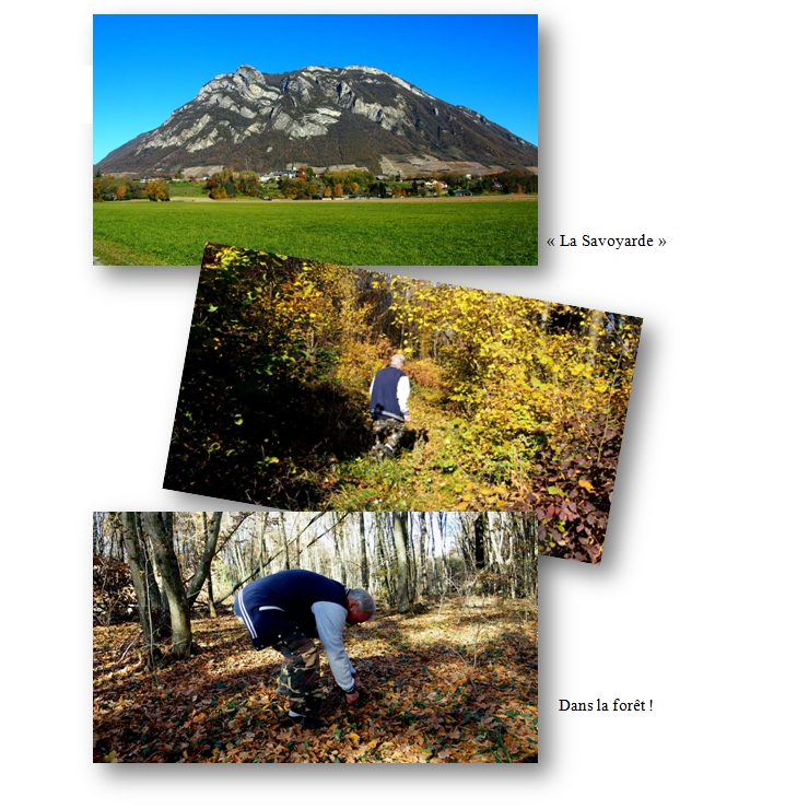 L'auberge la Savoyarde.