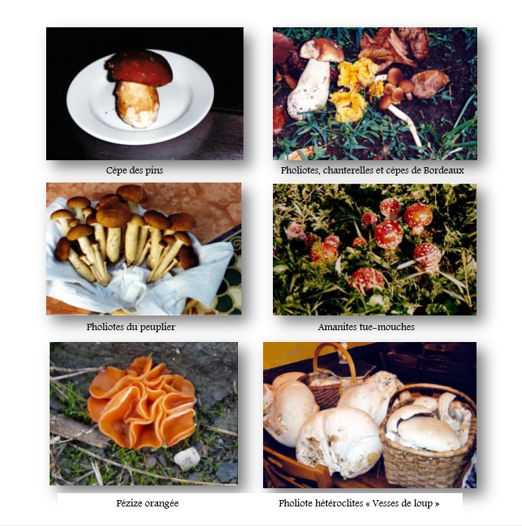 L'auberge la Savoyarde.