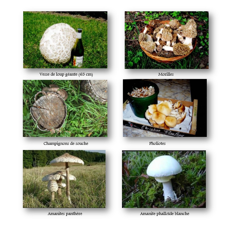 L'auberge la Savoyarde.