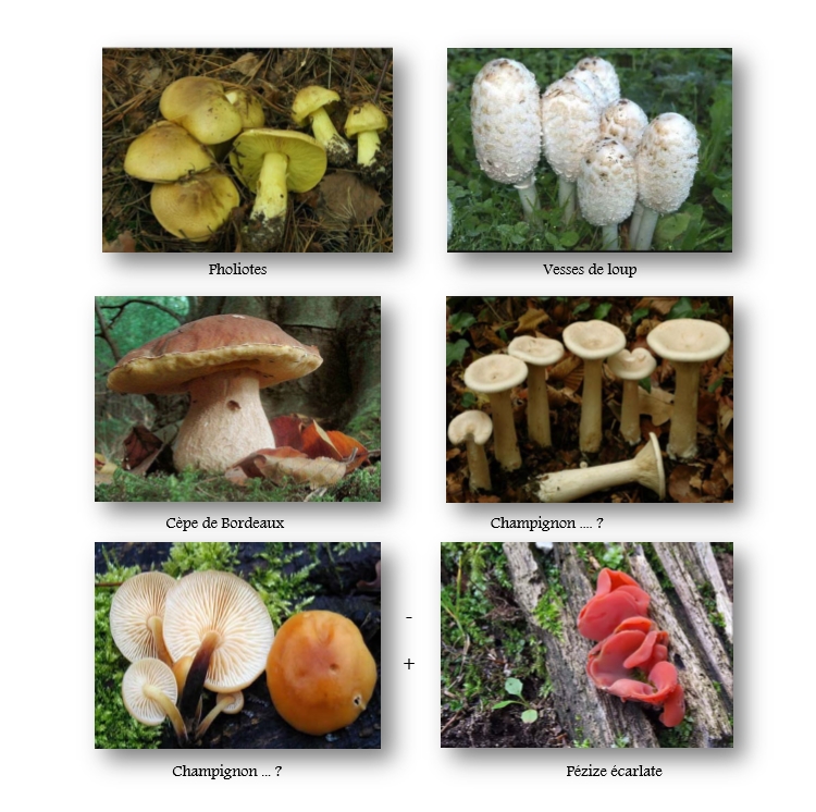 L'auberge la Savoyarde.