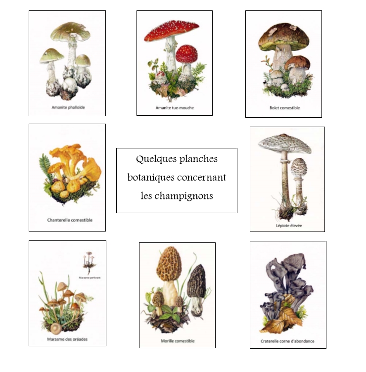 L'auberge la Savoyarde.